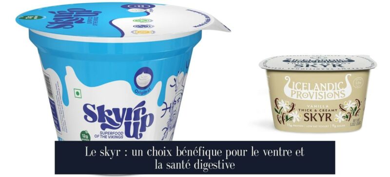 Le skyr : un choix bénéfique pour le ventre et la santé digestive