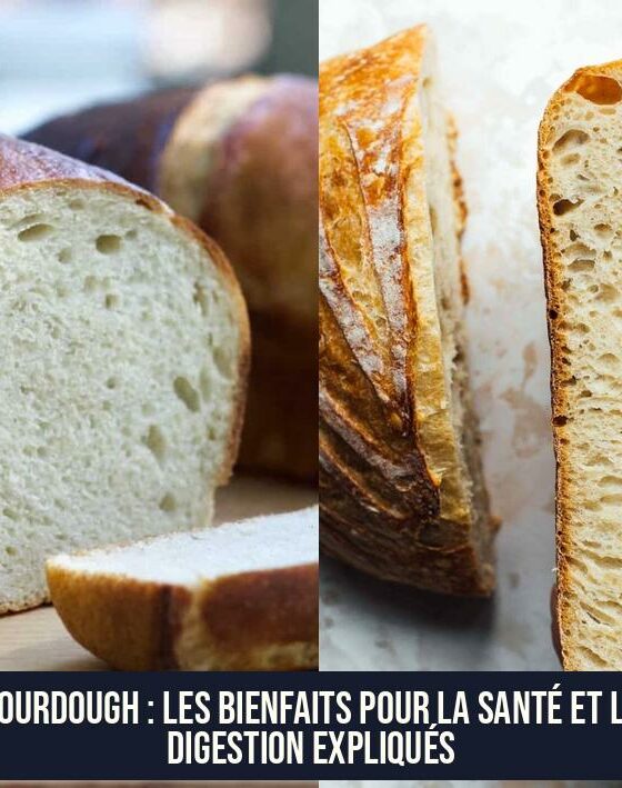 Sourdough : Les bienfaits pour la santé et la digestion expliqués