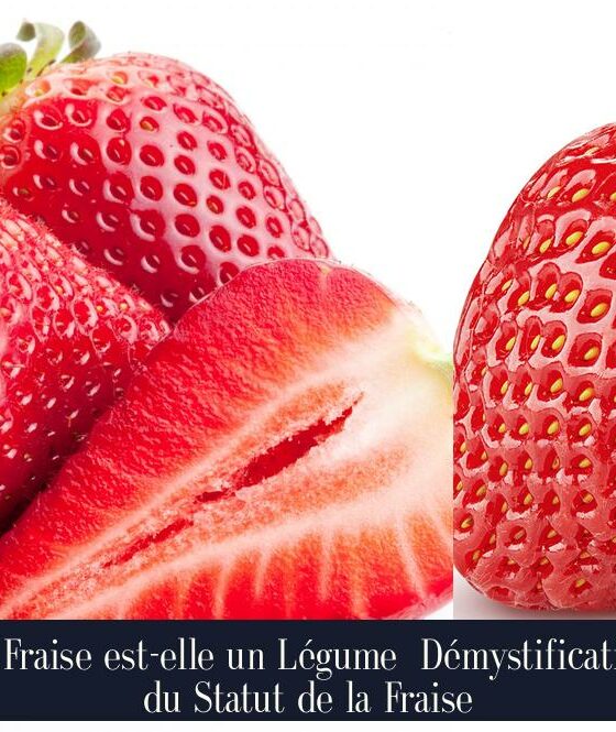 La Fraise est-elle un Légume Démystification du Statut de la Fraise