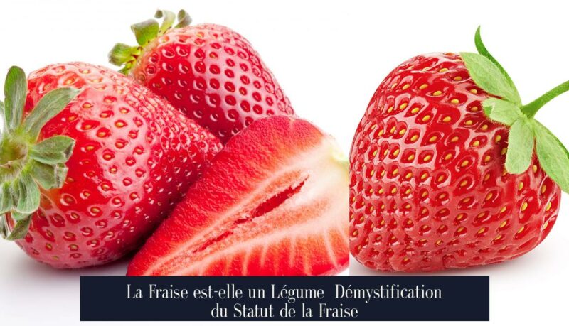 La Fraise est-elle un Légume Démystification du Statut de la Fraise