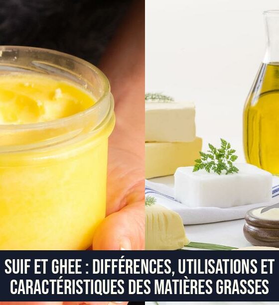Suif et Ghee : Différences, Utilisations et Caractéristiques des Matières Grasses