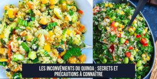 Les Inconvénients du Quinoa : Secrets et Précautions à Connaître