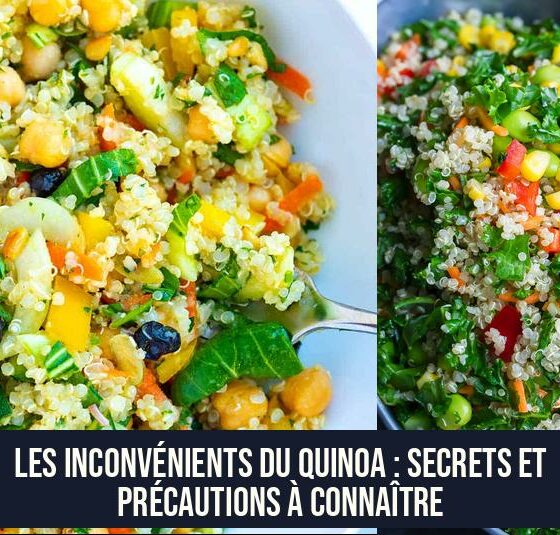 Les Inconvénients du Quinoa : Secrets et Précautions à Connaître