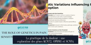 La génétique de la douleur : une exploration des gènes KCNT2, OPRM1 et SCN9A
