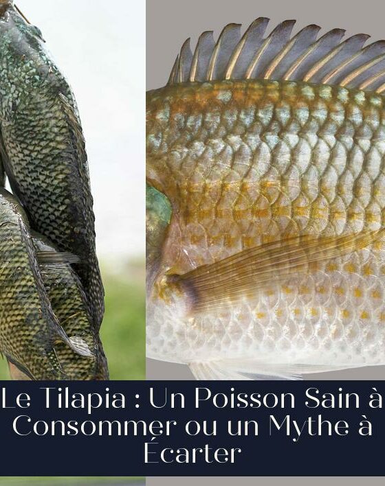 Le Tilapia : Un Poisson Sain à Consommer ou un Mythe à Écarter