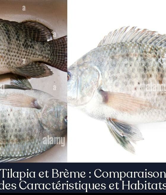 Tilapia et Brème : Comparaison des Caractéristiques et Habitats