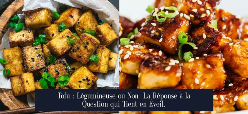 Tofu : Légumineuse ou Non La Réponse à la Question qui Tient en Éveil.