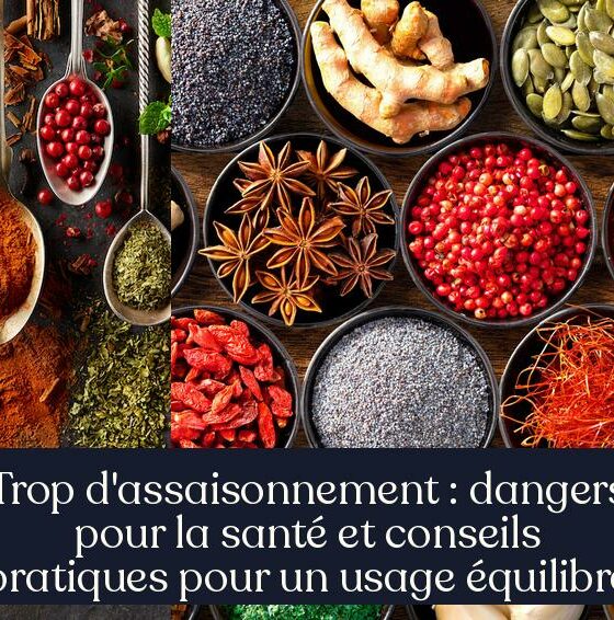 Trop d'assaisonnement : dangers pour la santé et conseils pratiques pour un usage équilibré