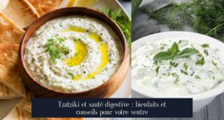 Tzatziki et santé digestive : bienfaits et conseils pour votre ventre