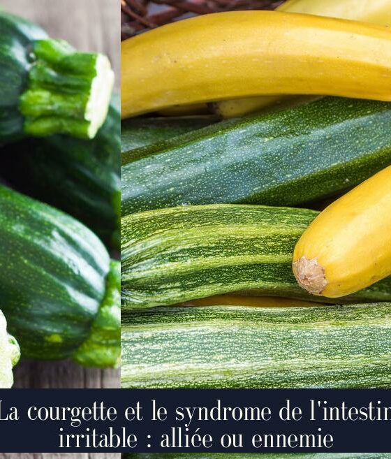 La courgette et le syndrome de l'intestin irritable : alliée ou ennemie
