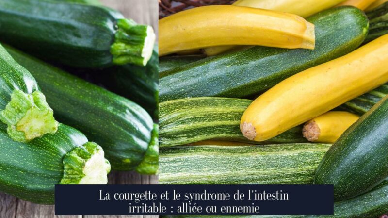La courgette et le syndrome de l'intestin irritable : alliée ou ennemie