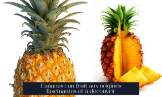 L'ananas : un fruit aux origines fascinantes et à découvrir