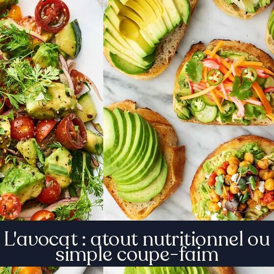 L'avocat : atout nutritionnel ou simple coupe-faim