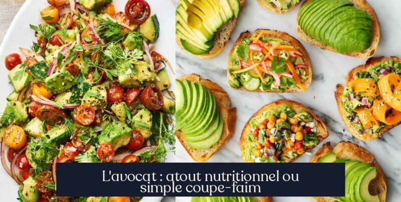 L'avocat : atout nutritionnel ou simple coupe-faim