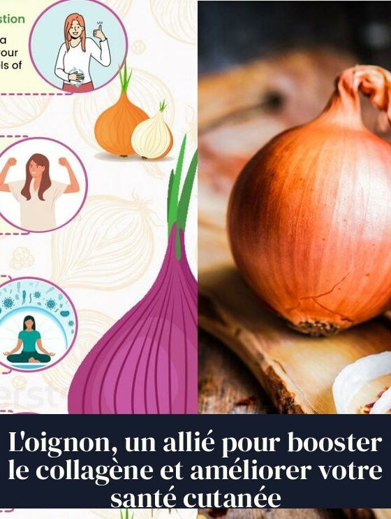 L'oignon, un allié pour booster le collagène et améliorer votre santé cutanée