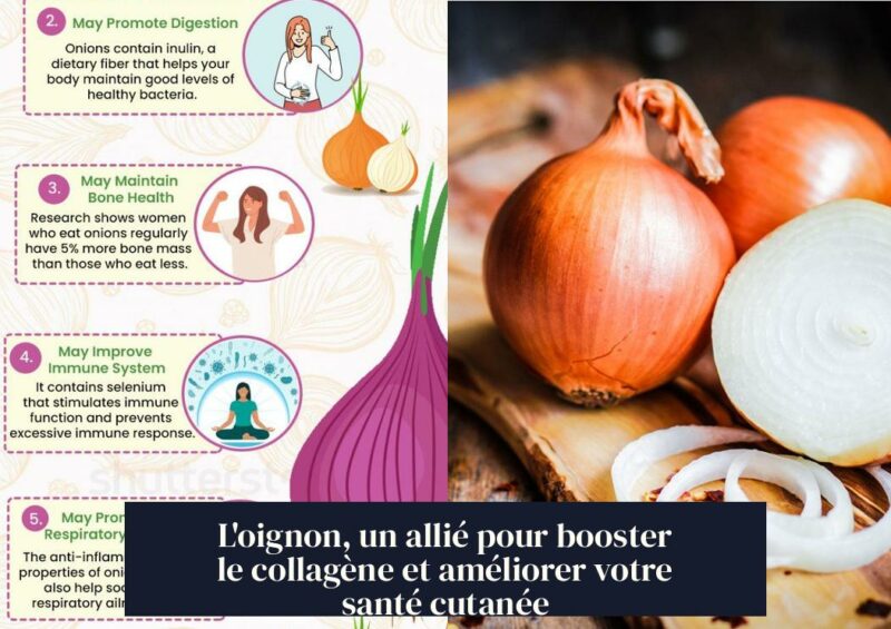 L'oignon, un allié pour booster le collagène et améliorer votre santé cutanée