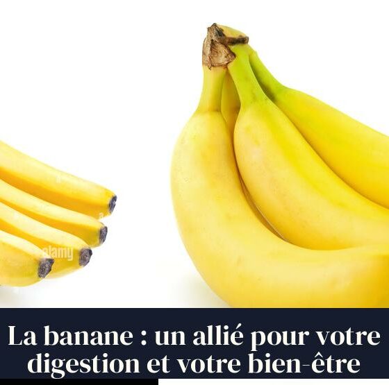 La banane : un allié pour votre digestion et votre bien-être
