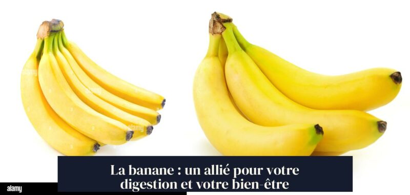 La banane : un allié pour votre digestion et votre bien-être