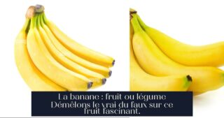 La banane : fruit ou légume Démêlons le vrai du faux sur ce fruit fascinant.