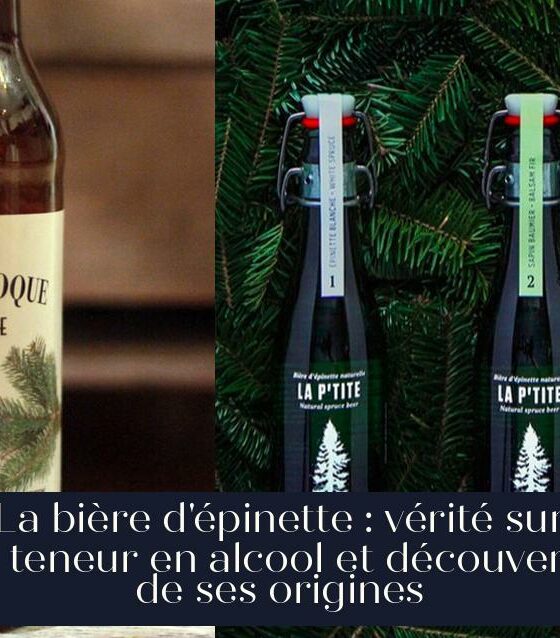 La bière d'épinette : vérité sur sa teneur en alcool et découverte de ses origines