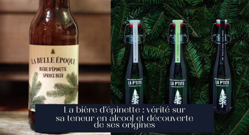 La bière d'épinette : vérité sur sa teneur en alcool et découverte de ses origines