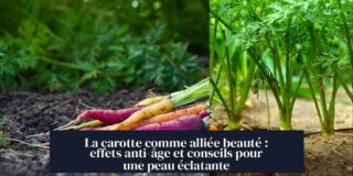 La carotte comme alliée beauté : effets anti-âge et conseils pour une peau éclatante
