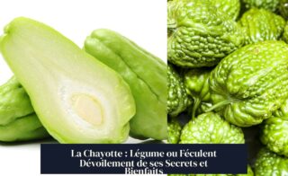 La Chayotte : Légume ou Féculent Dévoilement de ses Secrets et Bienfaits