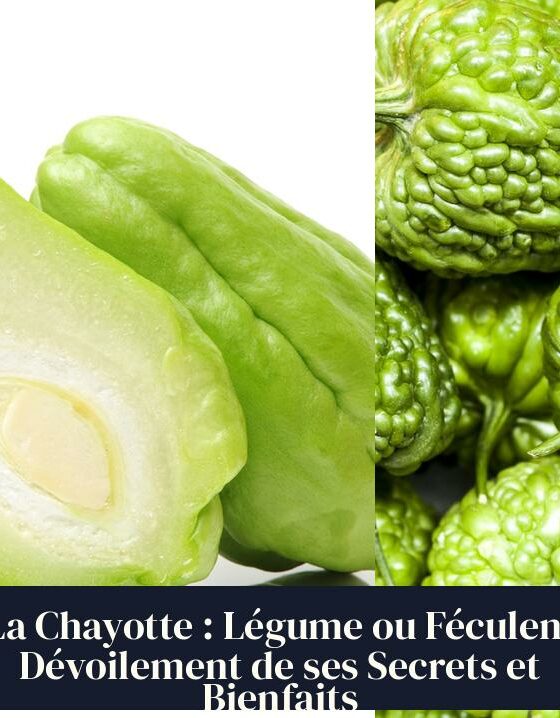 La Chayotte : Légume ou Féculent Dévoilement de ses Secrets et Bienfaits
