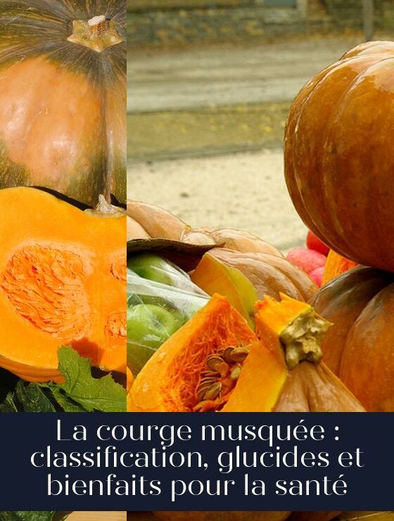 La courge musquée : classification, glucides et bienfaits pour la santé