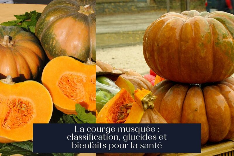 La courge musquée : classification, glucides et bienfaits pour la santé