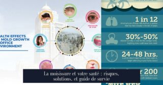 La moisissure et votre santé : risques, solutions, et guide de survie