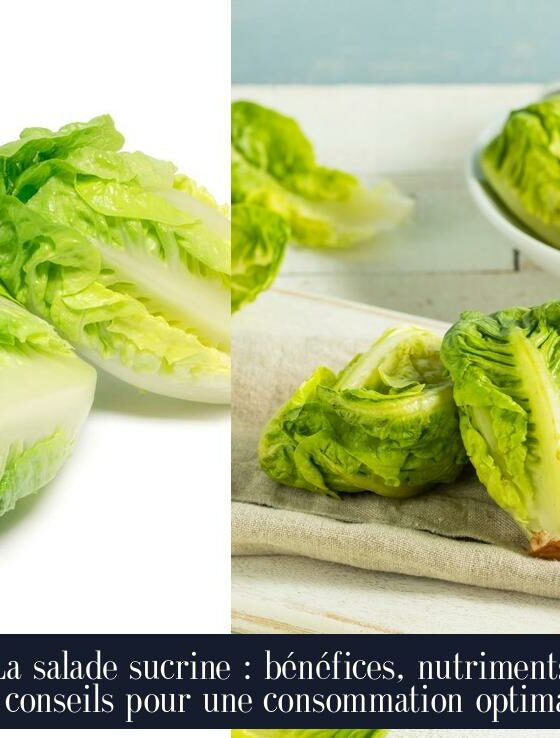 La salade sucrine : bénéfices, nutriments et conseils pour une consommation optimale