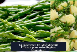 La Salicorne : Un Allié Minceur Efficace pour votre Régime Alimentaire