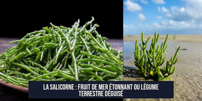 La Salicorne : Fruit de Mer Étonnant ou Légume Terrestre Déguisé