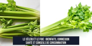Le céleri et le foie : bienfaits, connexion santé et conseils de consommation