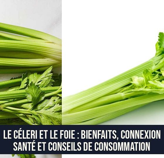 Le céleri et le foie : bienfaits, connexion santé et conseils de consommation