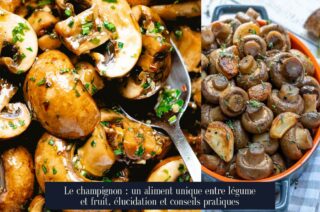 Le champignon : un aliment unique entre légume et fruit, élucidation et conseils pratiques