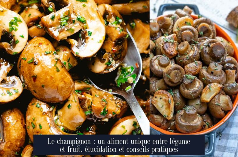 Le champignon : un aliment unique entre légume et fruit, élucidation et conseils pratiques