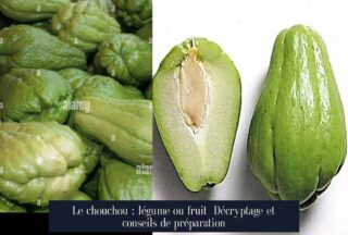 Le chouchou : légume ou fruit Décryptage et conseils de préparation