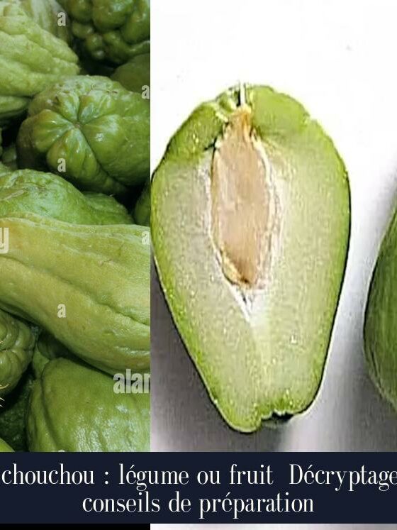Le chouchou : légume ou fruit Décryptage et conseils de préparation