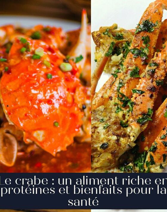 Le crabe : un aliment riche en protéines et bienfaits pour la santé