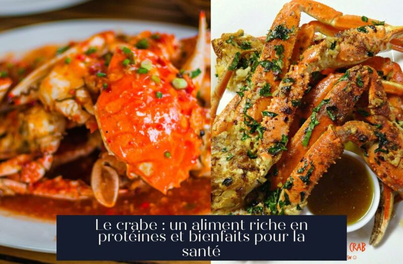 Le crabe : un aliment riche en protéines et bienfaits pour la santé