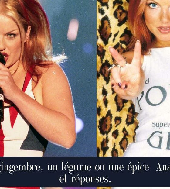 Le gingembre, un légume ou une épice Analyse et réponses.