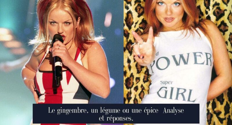 Le gingembre, un légume ou une épice Analyse et réponses.