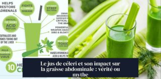 Le jus de céleri et son impact sur la graisse abdominale : vérité ou mythe