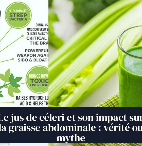 Le jus de céleri et son impact sur la graisse abdominale : vérité ou mythe
