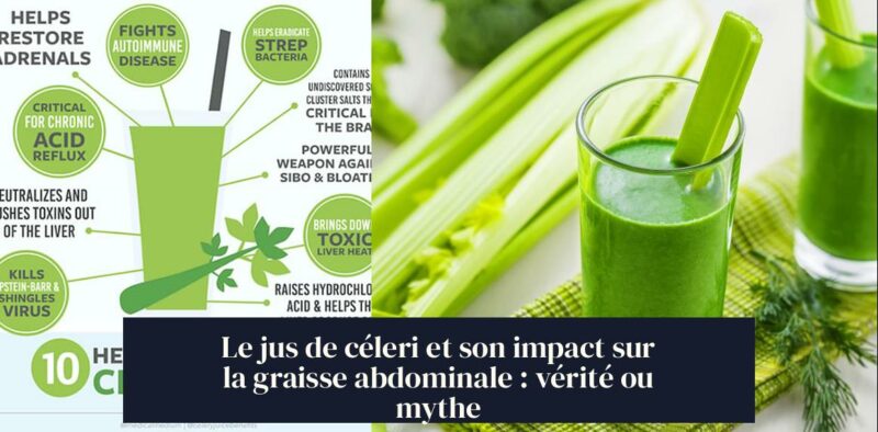 Le jus de céleri et son impact sur la graisse abdominale : vérité ou mythe