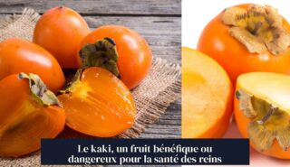 Le kaki, un fruit bénéfique ou dangereux pour la santé des reins