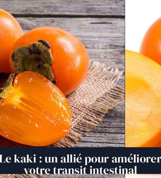 Le kaki : un allié pour améliorer votre transit intestinal