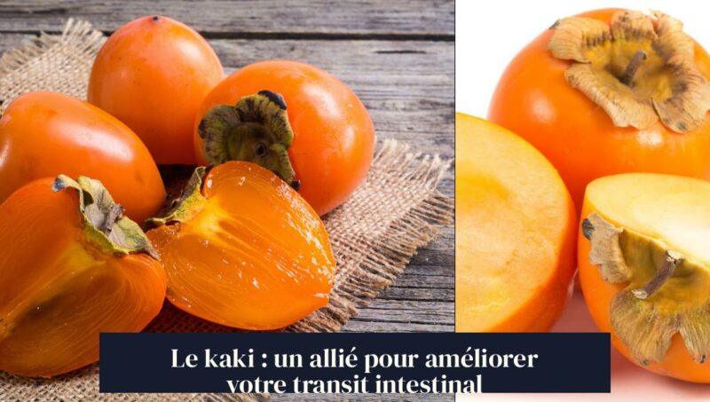 Le kaki : un allié pour améliorer votre transit intestinal